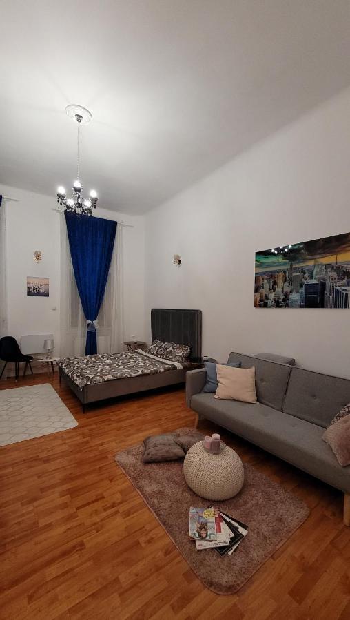 Opera Victoriei Residence - Ultracentral Cozy Accommodation Timişoara Cameră foto