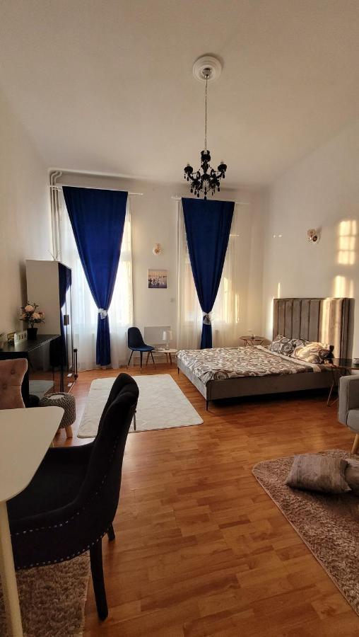 Opera Victoriei Residence - Ultracentral Cozy Accommodation Timişoara Exterior foto