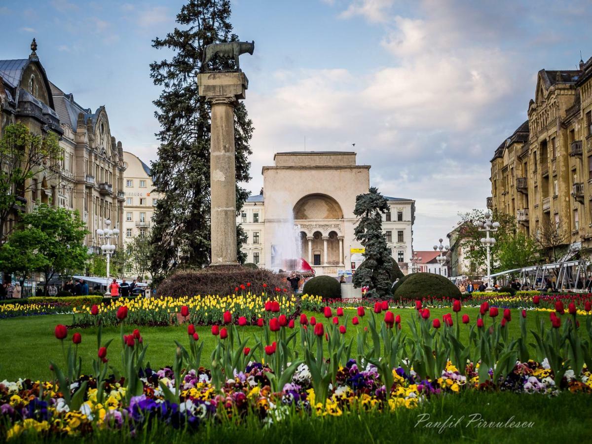 Opera Victoriei Residence - Ultracentral Cozy Accommodation Timişoara Exterior foto